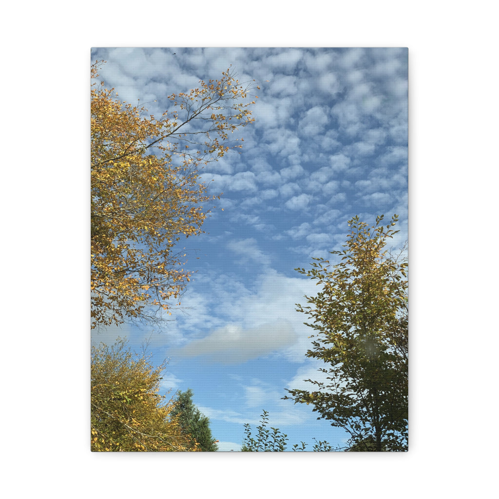 Wandbild Druck, Art.-Nr. NA 00119 W