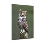 Wandbild Druck, Art.-Nr. T 00107 W