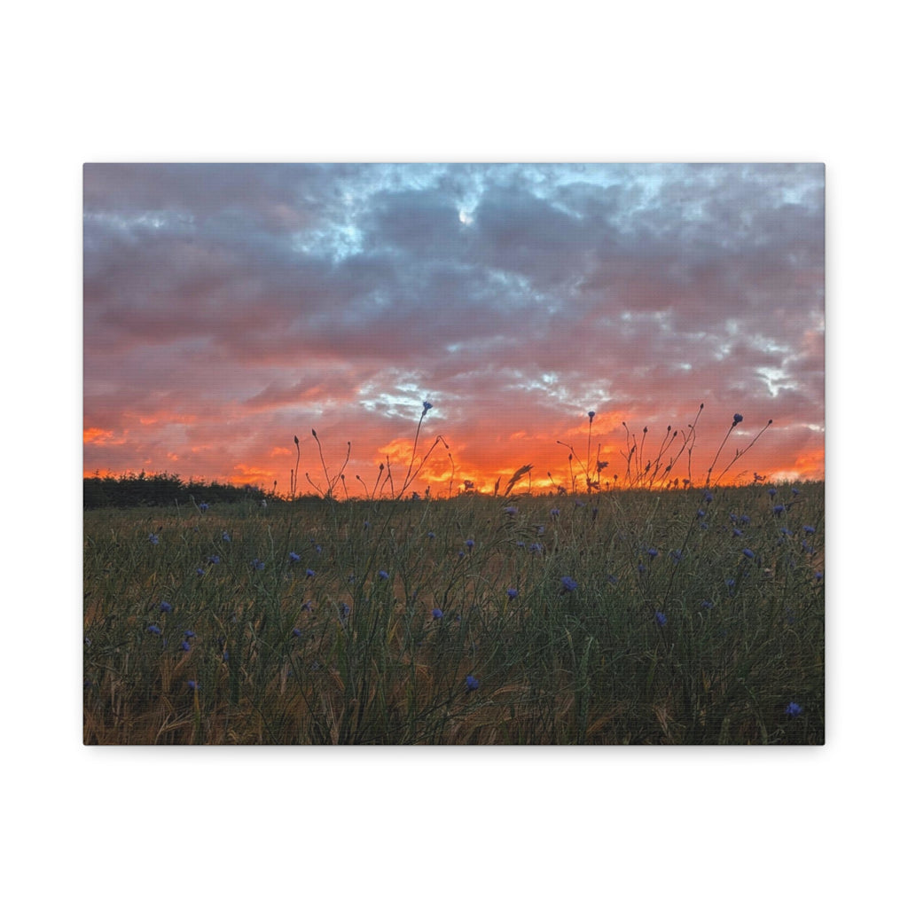 Wandbild Druck, Art.-Nr. NA 00126 W