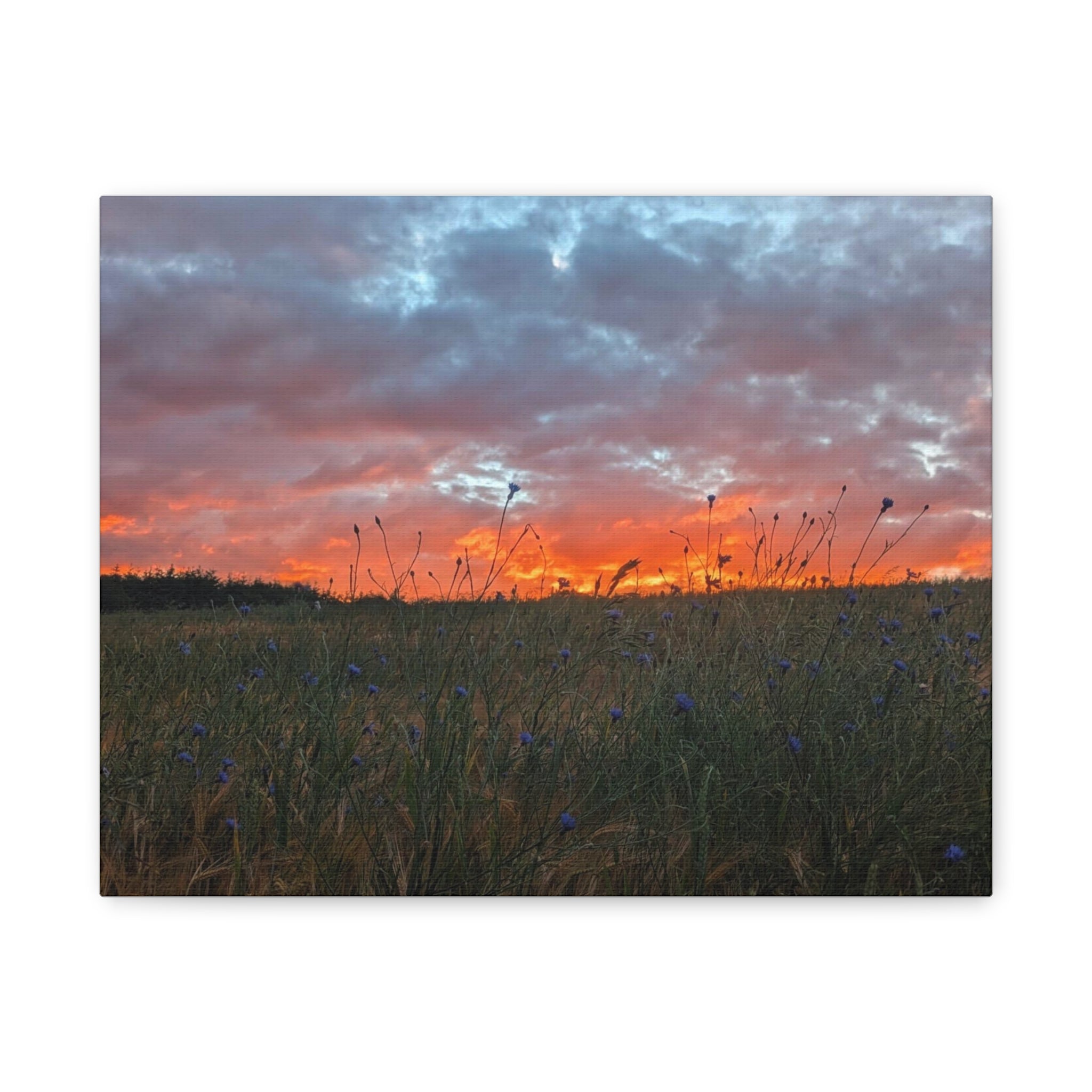 Wandbild Druck, Art.-Nr. NA 00126 W