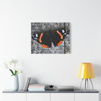 Wandbild Druck, Art.-Nr. T 00104 W