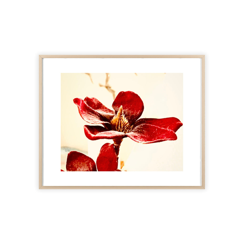 Poster  mit Holzrahmen, Art.-Nr. AP 00114 P