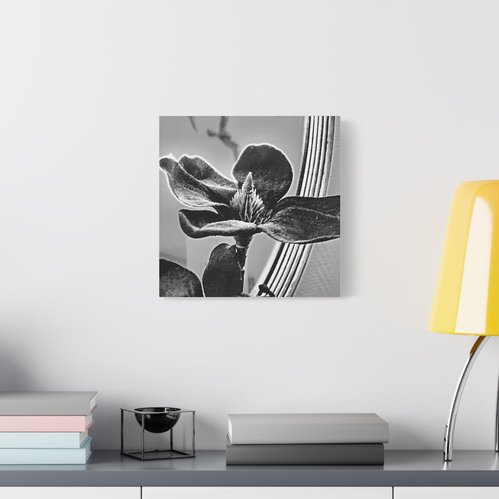 Wandbild Druck, Art.-Nr. AP 00113 W