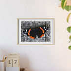 Poster mit Holzrahmen, Art.-Nr. T 00104 P