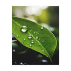 Wandbild Druck, Art.-Nr. NA 00115 W