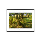 Poster mit Holzrahmen, Art.-Nr. NA 00105 P