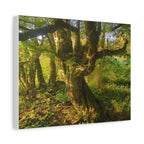 Wandbild Druck, Art.-Nr. NA 00105 W