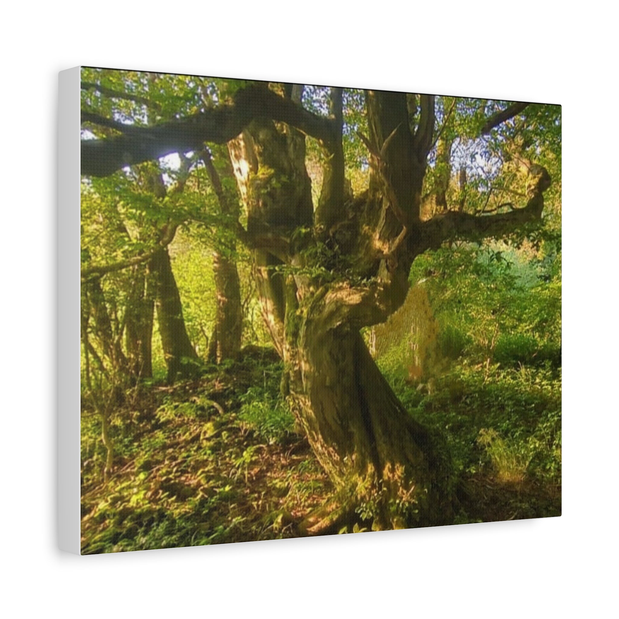 Wandbild Druck, Art.-Nr. NA 00105 W