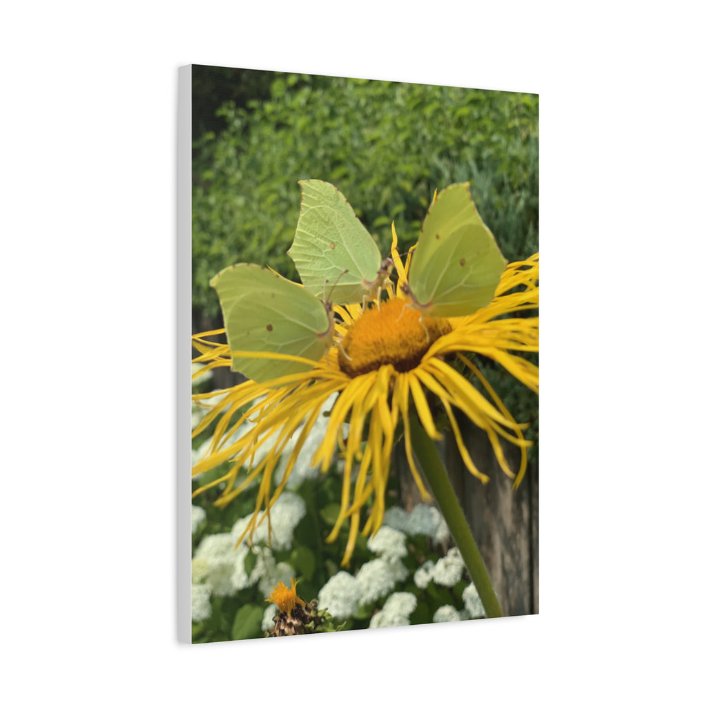 Wandbild Druck, Art.-Nr. NA 00137 W