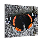 Wandbild Druck, Art.-Nr. T 00104 W