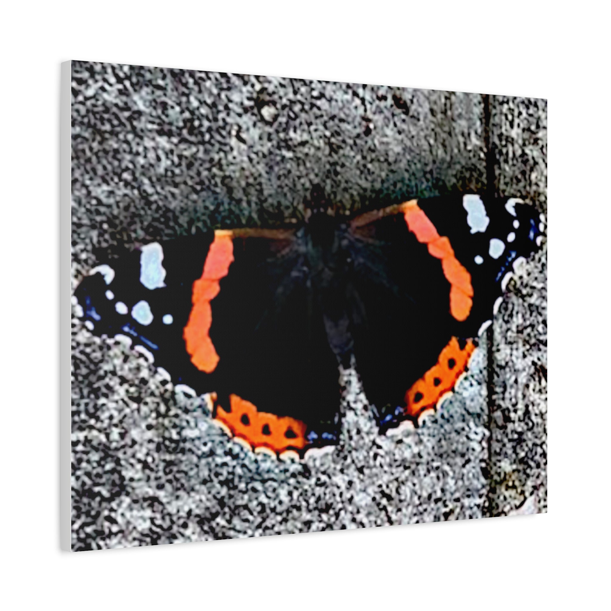 Wandbild Druck, Art.-Nr. T 00104 W