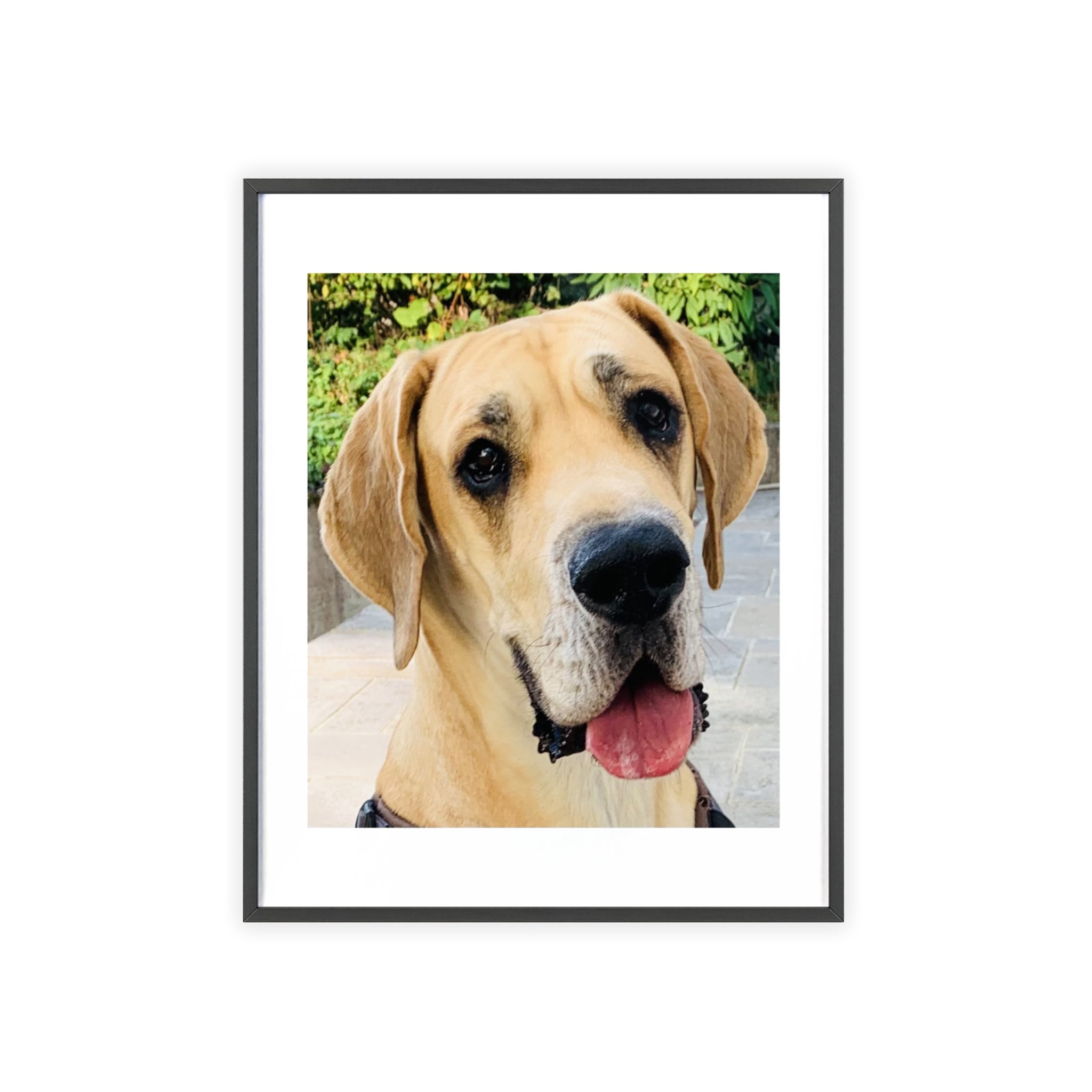 Poster mit Holzrahmen, Art.-Nr. T 00103 P