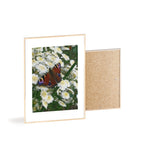 Posters with Wooden Frame