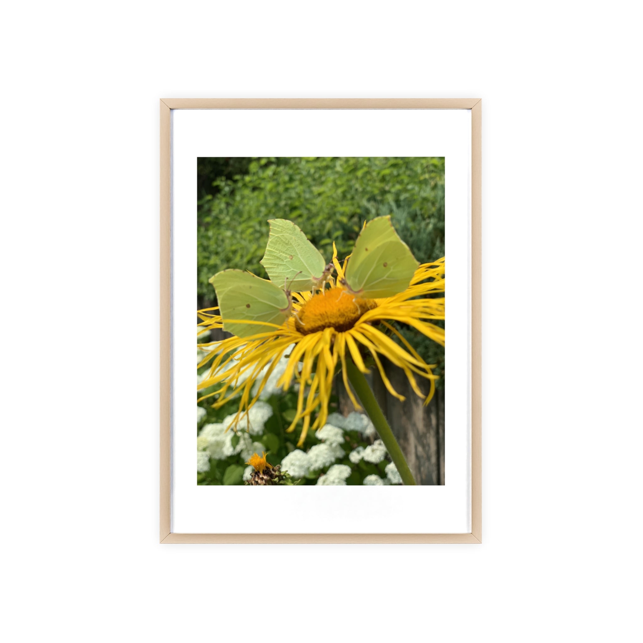 Poster mit Holzrahmen, Art.-Nr. NA 00137 P