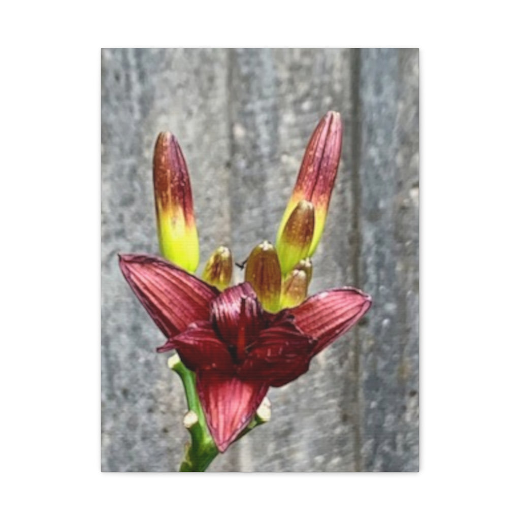 Wandbild Druck, Art.-Nr. NA 00132 W