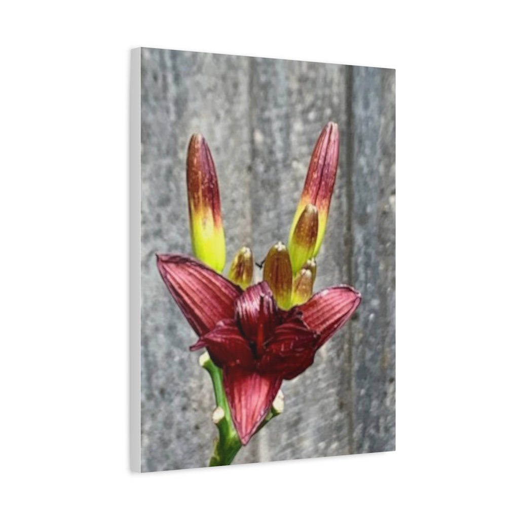 Wandbild Druck, Art.-Nr. NA 00132 W