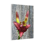 Wandbild Druck, Art.-Nr. NA 00132 W