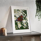 Posters with Wooden Frame