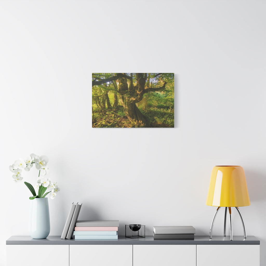 Wandbild Druck, Art.-Nr. NA 00105 W