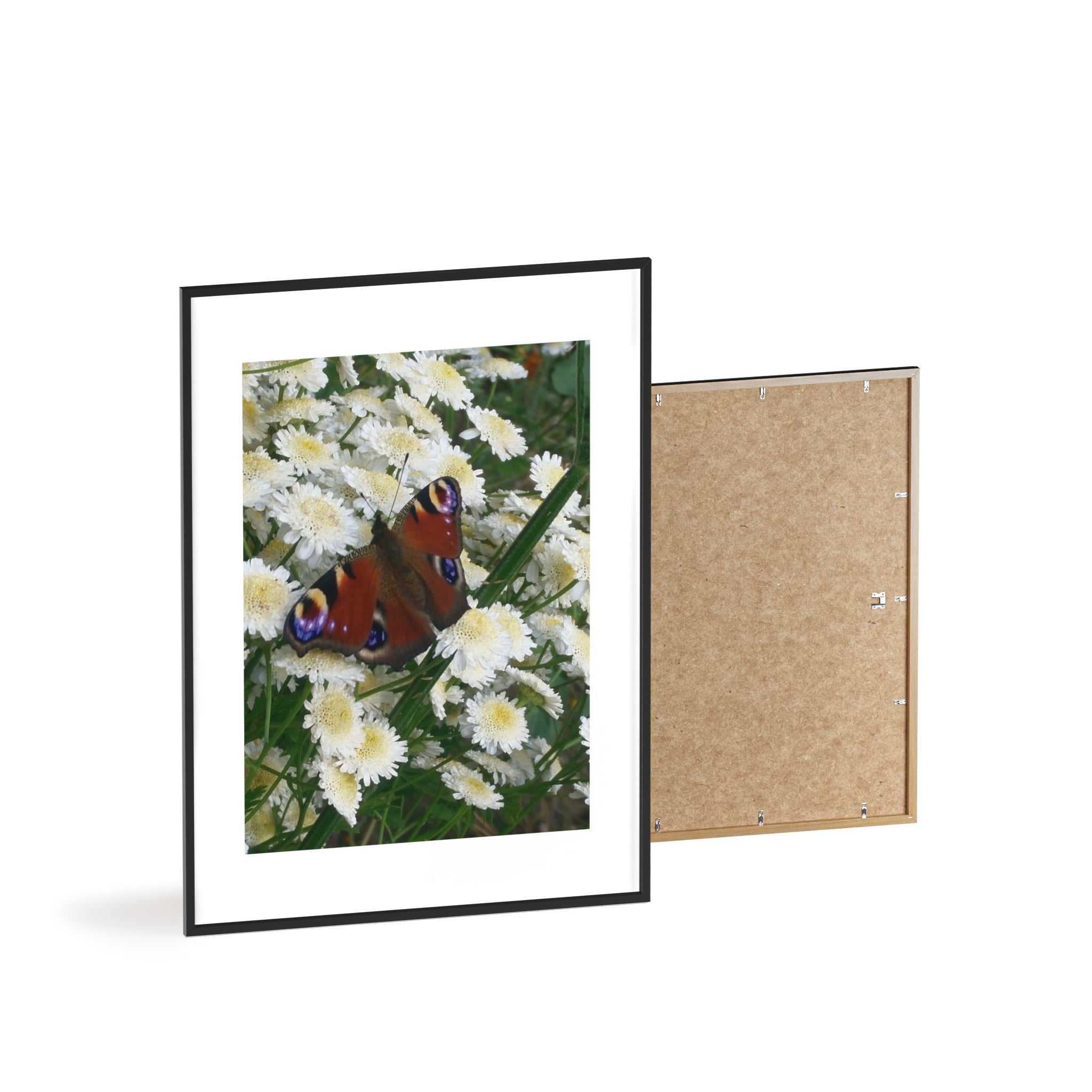Posters with Wooden Frame