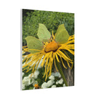 Wandbild Druck, Art.-Nr. NA 00137 W