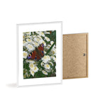 Posters with Wooden Frame