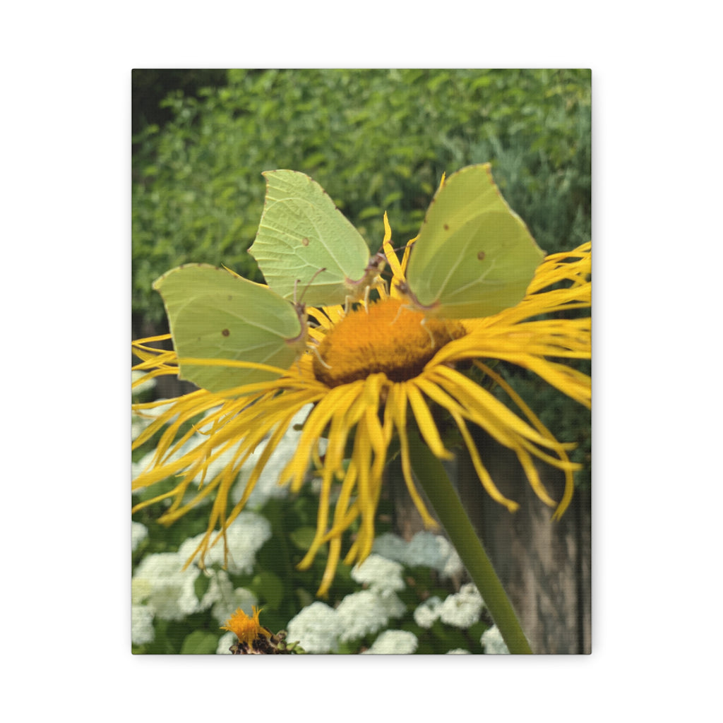 Wandbild Druck, Art.-Nr. NA 00137 W