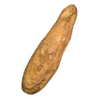 Doppelfossil Fisch Lang B